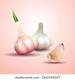 Garlic set. Whole and peeled cloves. Realistic vector illustration isolated on white background.