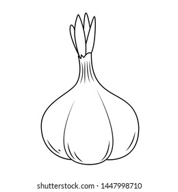 Garlic silhouette, children's coloring book. Fruits and vegetables.