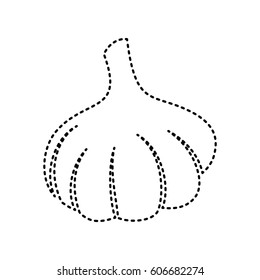 Garlic simple sign. Vector. Black dashed icon on white background. Isolated.