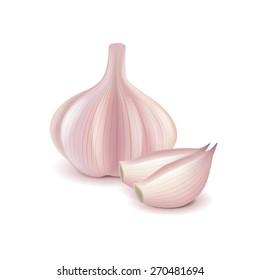 Garlic and slice isolated on white photo-realistic vector illustration