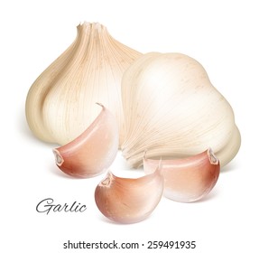Garlic with slices. Vector illustration.