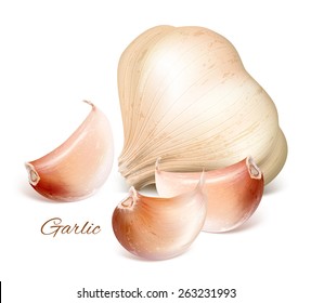 Garlic with slices. Vector illustration