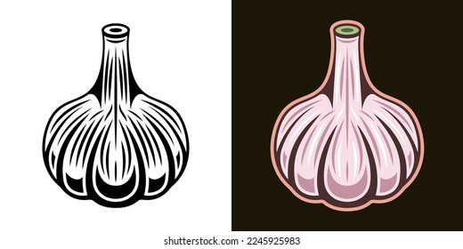 Garlic spice product vector colored illustration in two styles black on white and colored on dark background