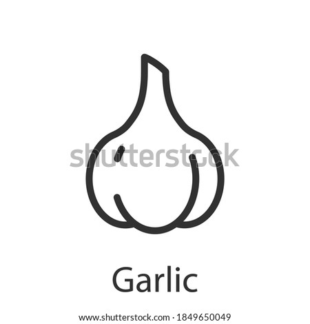garlic, summer vegetable , linear icon. Editable stroke