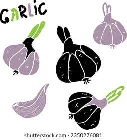 Garlic. Texture graphic elements. Vector set, collection.