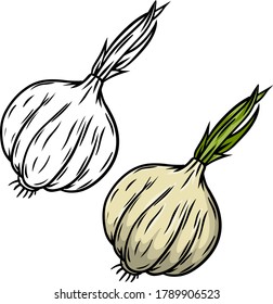 Ajo. Dos verduras picantes. Ilustración de dibujos animados. Producto natural. Una dieta saludable. Sazonamiento y hierba