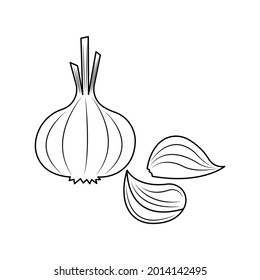 Knoblauch-Vektorgrafik einzeln auf weißem Hintergrund. Cute Gemüse-Cartoon-Farbseite.