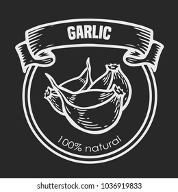 Garlic vector chalk style drawing  label plant. Hand drawn engraved vector sketch etch illustration. Spice ingredient for coocking. Mexican food