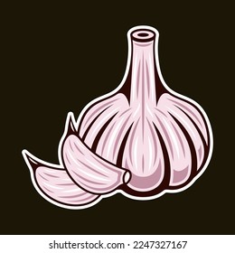 Garlic vector colored illustration in vintage style on dark background