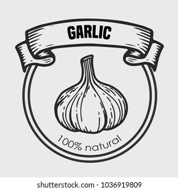 Garlic vector drawing  label plant. Hand drawn engraved vector sketch etch illustration. Spice ingredient for coocking. Mexican food