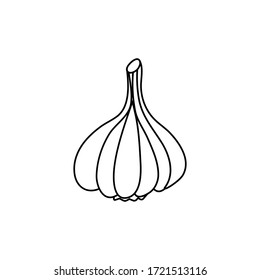 Knoblauch. Vektorflache Illustration. Doodle-Element.