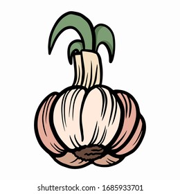 Garlic vector hard bolder pink nude colour