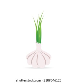 Knoblauch, Vektorsymbol.Cartoon, Vektorsymbol einzeln auf weißem Hintergrund.