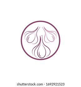 Plantilla de diseño de ilustración de icono de vector de ajo