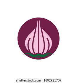 Garlic vector icon illustration design template