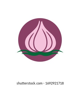 Garlic vector icon illustration design template