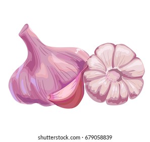 Garlic vector icon isolated, hand drawn sketch of spicy vegetabl