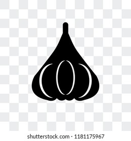 Garlic vector icon isolated on transparent background, Garlic logo concept