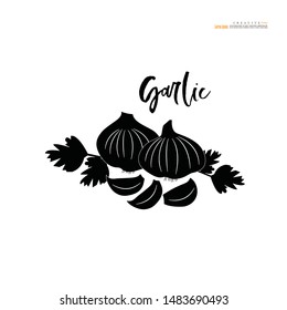 Garlic  vector icon on white background - Vector illustration.