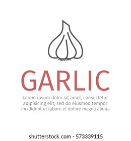 Garlic. Vector icon for web graphic.