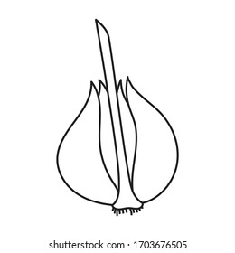 Garlic vector icon.Outline vector icon isolated on white background garlic .