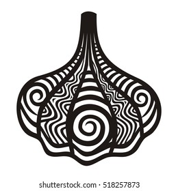Garlic. Vector illustration.