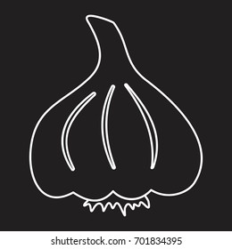 Garlic vector illustration for design and web isolated on black background. Garlic vector object for labels logos and advertising