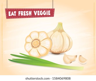 Garlic vector illustration with garlic green beans on brown background