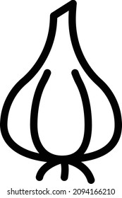 garlic vector illustration isolated on a transparent background. stroke vector icons for concept or web graphics.