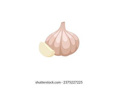 garlic vector illustration isolated on white background, kitchen spice flat style design