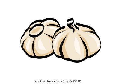  garlic vector illustration. isolated on white background. Vector eps 10. perfect vector illustration.	