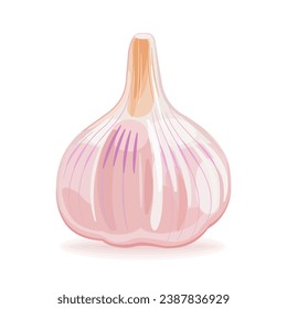 Ajo. Ilustración del vector sobre fondo blanco