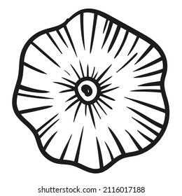 Garlic - vector illustration in sketch style. Head of garlic. Linear black and white drawing. Ingredients for cooking, vegetables