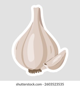 Garlic Vector Illustration Sticker. A realistic garlic vector illustration sticker with a simple and clean design. Perfect for food, cooking, kitchen, and healthy eating concepts
