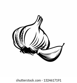 Garlic vector illustration. Vegetable food and spice.
