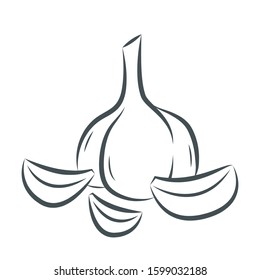 Garlic vector. Garlic logo design. Garlic symbol. wallpaper. free space for text.