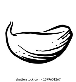 Garlic. Vector. Outline drawing of a vegetable on a white background. Sketch. Drawing marker on paper. Isolated object.