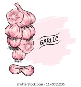 Garlic vector outline illustration. Vegetable food concept. For poster, banner, logo, icon, sticker, menu design, restaurants, cafe, receipe book, farm product, garlic dressing