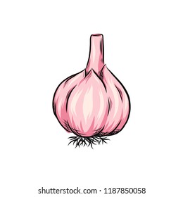 Garlic vector outline illustration. Vegetable food concept. For poster, banner, logo, icon, sticker, menu design, restaurants, cafe, receipe book, farm product, garlic dressing