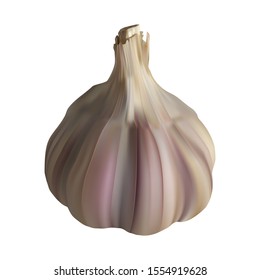 garlic vector realistic illustration on white isolated background