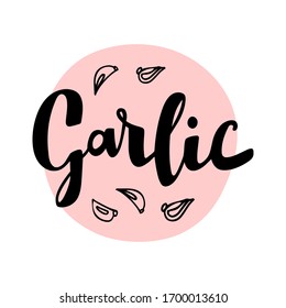 Garlic vector text, hand drawn lettering