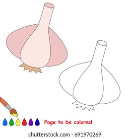 Garlic Vegetable to be colored, the coloring book for preschool kids with easy educational gaming level.