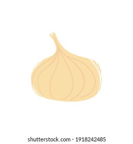 garlic vegetable design, food organic and healthy theme Vector illustration
