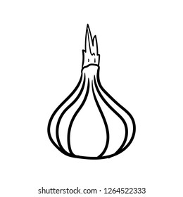  Garlic vegetable  doodle drawing icon vector 