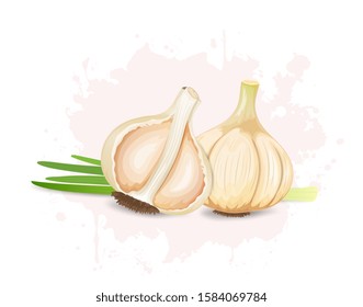 Garlic Vegetable with half pieces of garlic and vegetable green beans