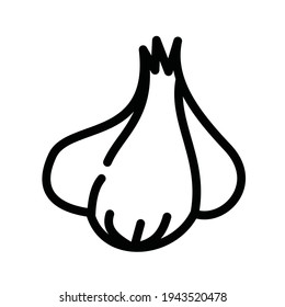 garlic vegetable icon vector design