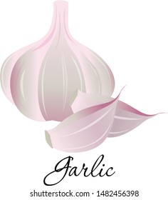 Garlic vegetable icon vector illustration. Whole and cloves ungent-tasting bulb, used in cooking, herbal medicine. Vegetarian fresh food product sign for sticker, grocery shop, farm store element