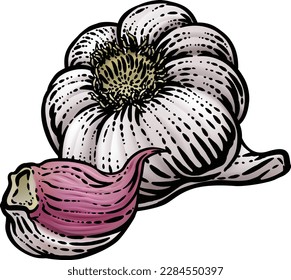 Garlic vegetable illustration in a vintage retro woodcut etching style.