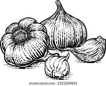 Garlic vegetable illustration in a vintage retro woodcut etching style.