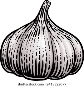 Garlic vegetable illustration in a vintage retro woodcut etching style.